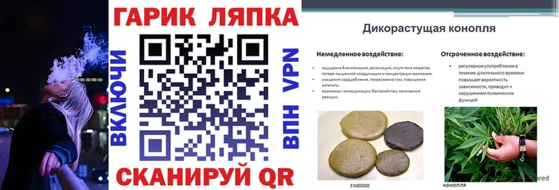 ГАШ Premium  цены   Верхнеуральск 