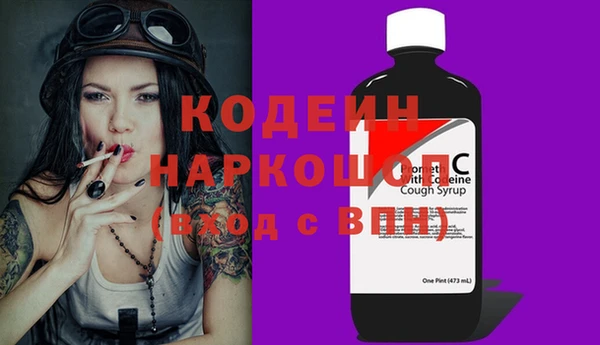 индика Аркадак