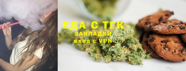 индика Аркадак
