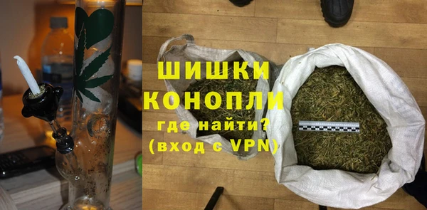 индика Аркадак